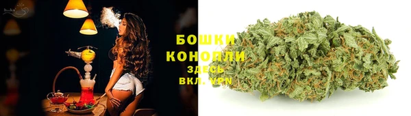 ешки Гусиноозёрск